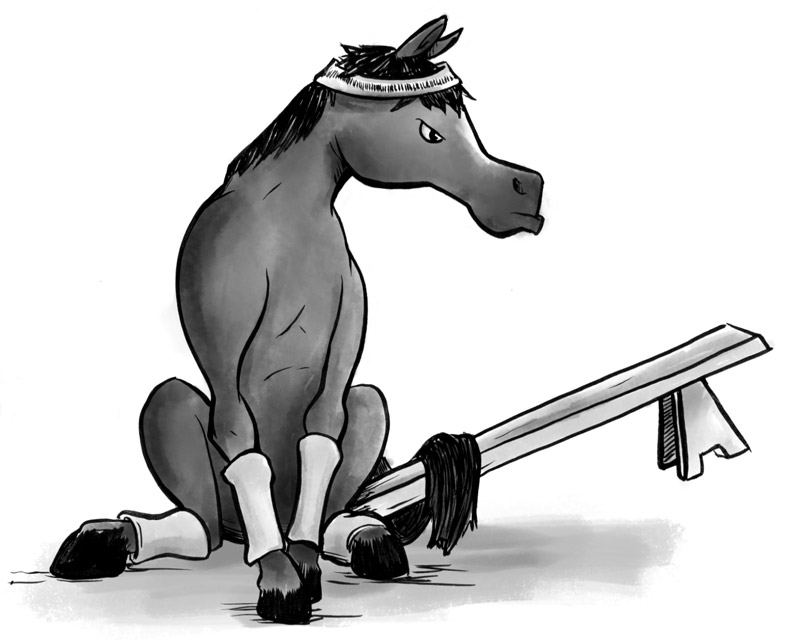 Legal Wit — Don't Bench the Horse