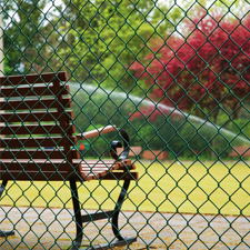 Phrase of the Week - Chain Link Fence